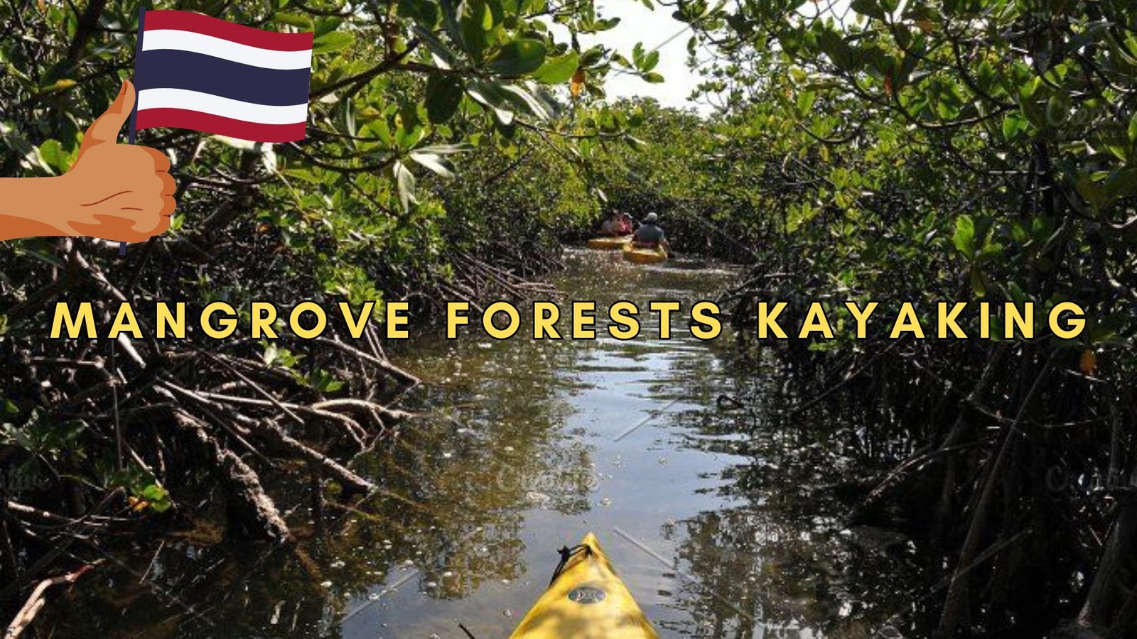 Mangrove Forests Mangrove Forests